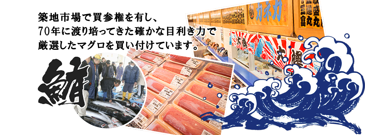 鮪　築地市場で買参値を有し、70年に渡り培ってきた確かな目利き力で厳選したマグロを買い付けています。